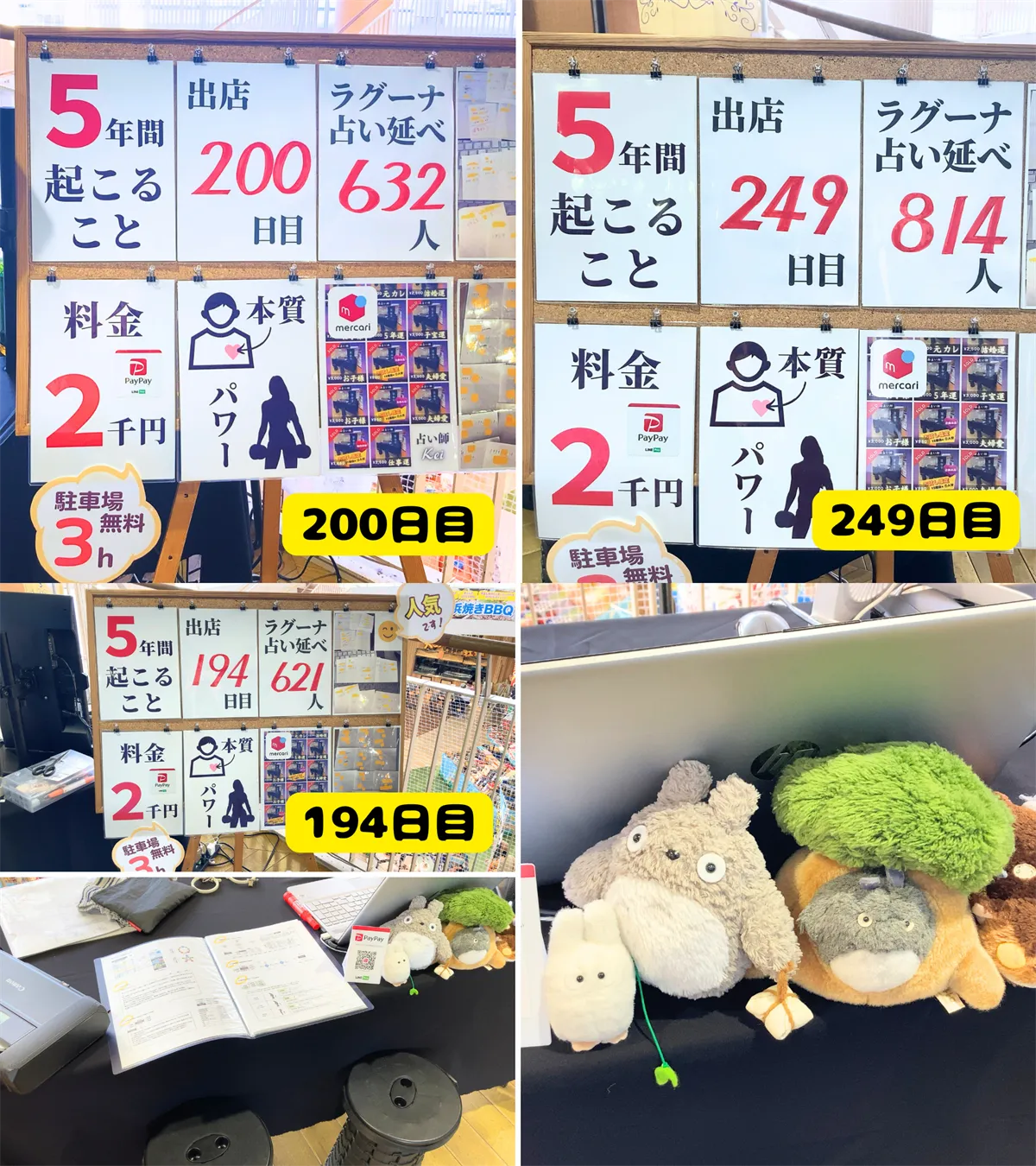 鑑定実績の経過（後半）