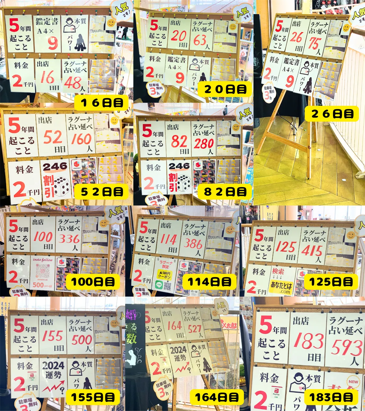 鑑定実績の経過（序盤）